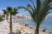Playa Levante-Fosa 011